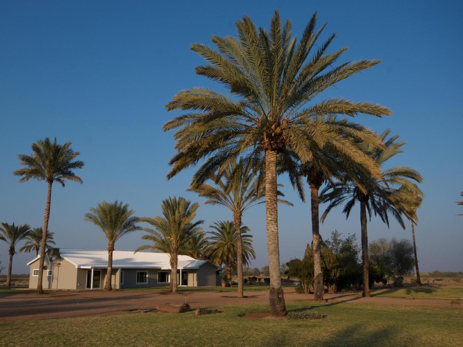 Flying Ostrich Guesthouse & Self-Catering Accommodation Mariental Eksteriør billede