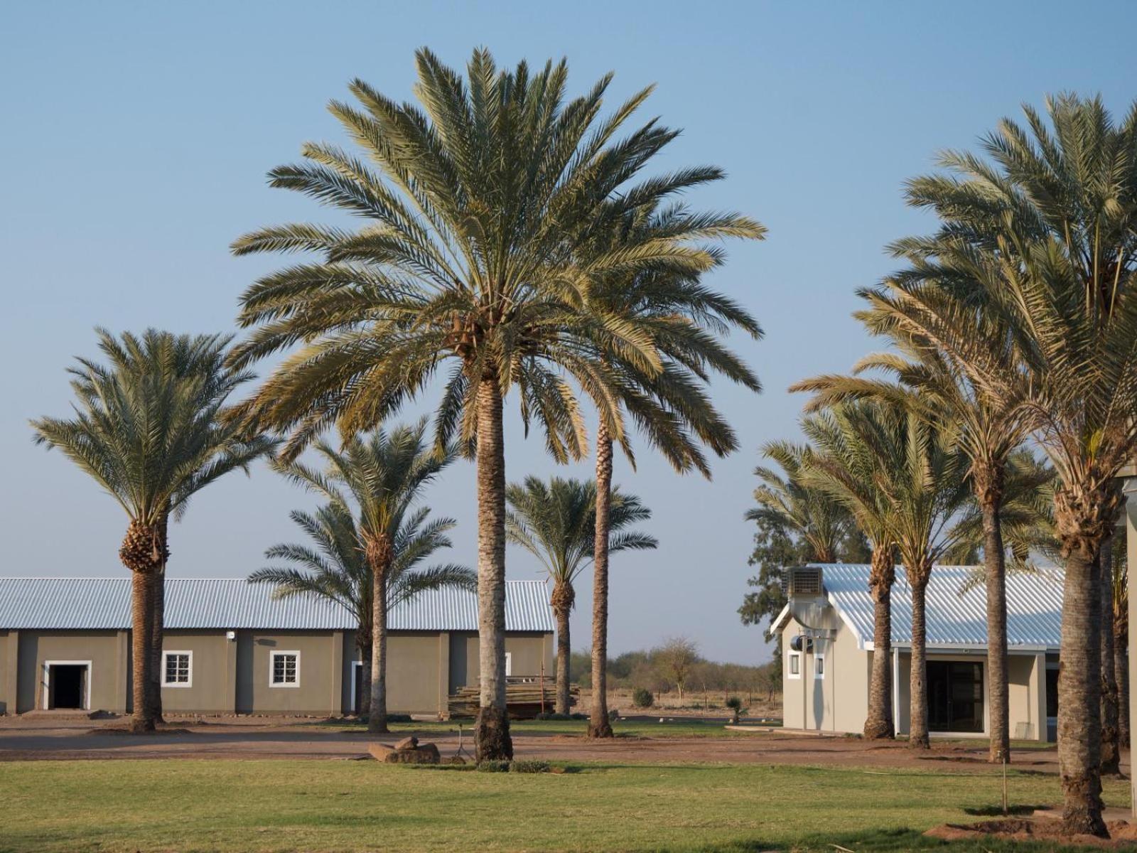 Flying Ostrich Guesthouse & Self-Catering Accommodation Mariental Eksteriør billede